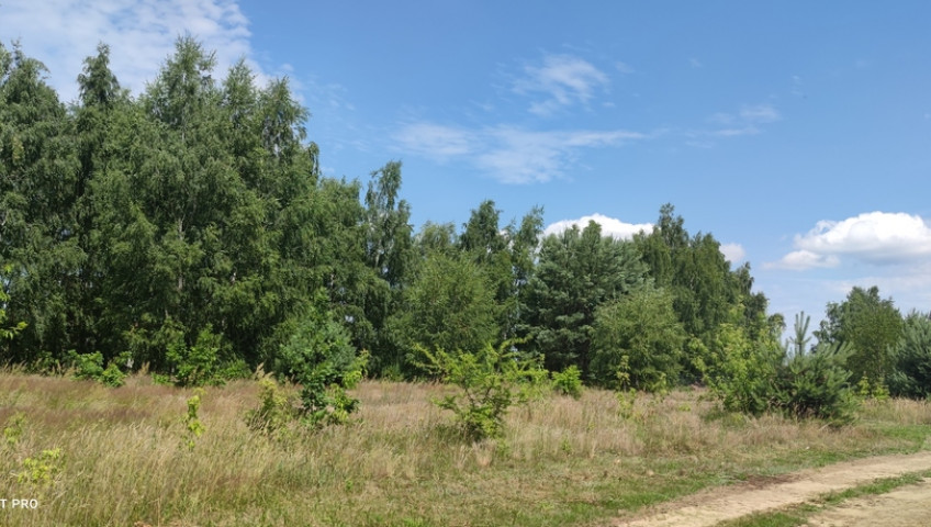 Działka Sprzedaż Borzęcin Mały